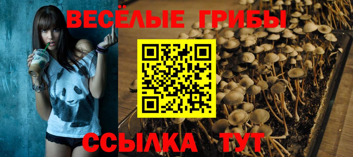 Галлюциногенные грибы MAGIC MUSHROOMS Ессентуки