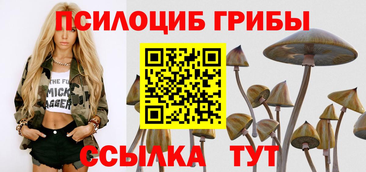даркнет сайт  Вход с VPN  Ессентуки  Галлюциногенные грибы Psilocybine cubensis 
